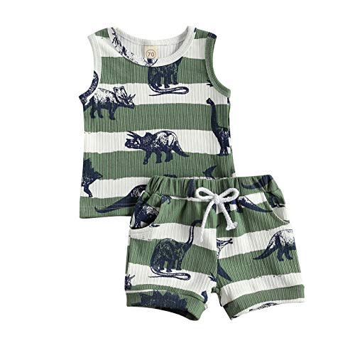Ledy Champswiin Toddler Boy Clothes Baby Summer Outfit Dinosaur Letter Print Cotton Tops+Grey Elastic Shorts 2pcs