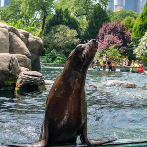 Membership - Central Park Zoo