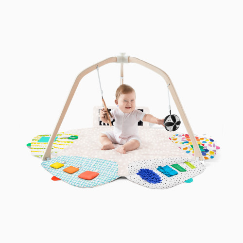 The Play Gym