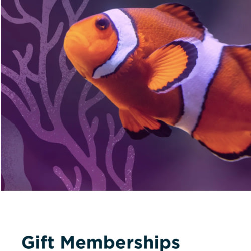 National Aquarium: Dual Membership