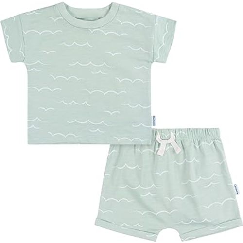 Gerber Baby-Boys T-Shirt And Shorts Set