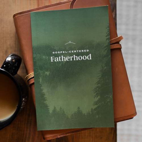 Gospel-Centered Fatherhood | TDGC – The Daily Grace Co.
