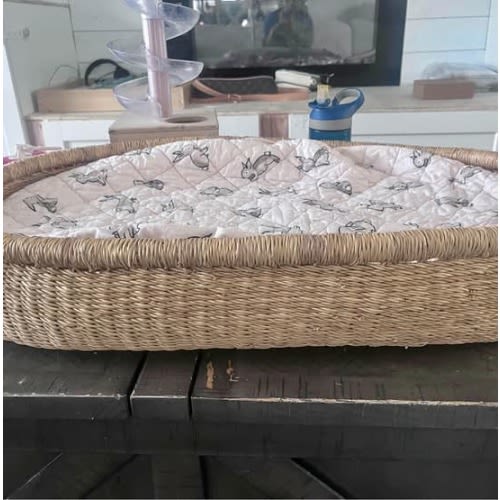 Design dua changing basket