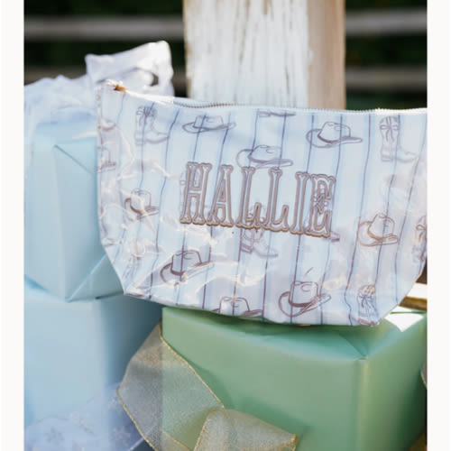 Western Blues Striped - Clear Coat Bag For Embroidery – KenzKustomz