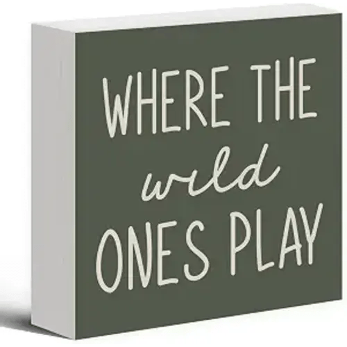 Where The Wild Ones Play Green Wood Box Sign Desk Decor 5X5, Nursery Kids Room Wooden Block Sign Decorations for Playroom Toddler Boys Girls Room Wall Tabletop Shelf Decor