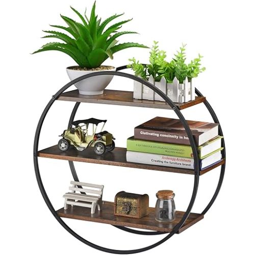 Circle Shelf Wall Decor, 3 Tier Decorative Round Wall Shelf