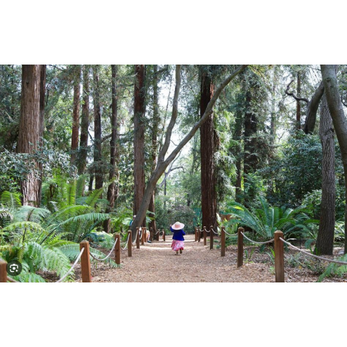 Annual Membership to Descanso Gardens