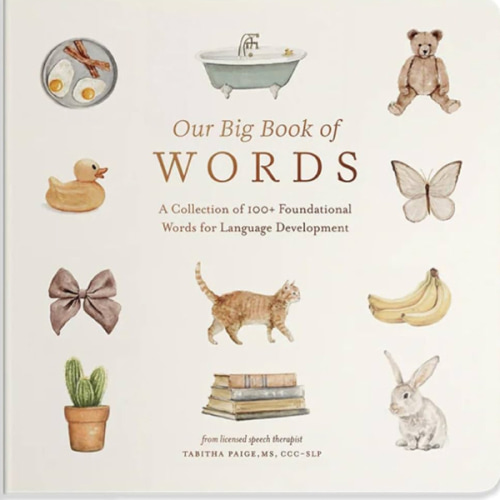 Our Big Book of First Words: A Collection of 100+ Foundational Words for Language Development (Tabitha Paige Children's Book Series)