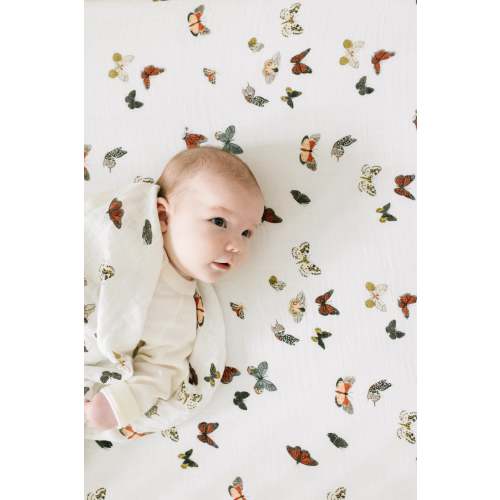 Butterfly Migration Crib Sheet – Clementine Kids