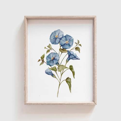 Morning Glory Art Print | Made in the USA | Fox Hollow Studios – Tabitha Paige