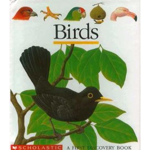 Birds First Discovery Books