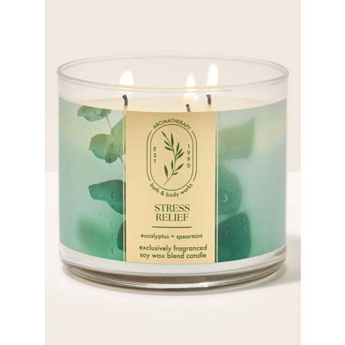 Eucalyptus Spearmint 3-Wick Candle