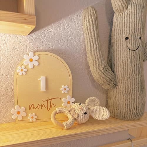 Daisy 3D Baby Monthly Milestone Wooden Signs