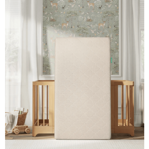 Newton Crib Mattress