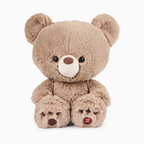 Gund Kai Teddy Bear Plush Toy