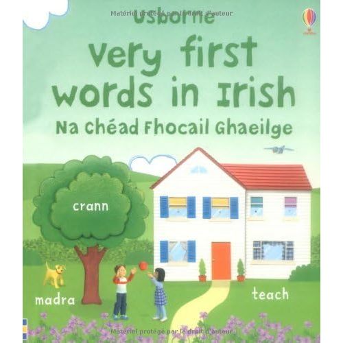 Very First Words in Irish (Usborne First Words Board Books) by Felicity Brooks (2007-12-01) Hardcover – January 1, 1837