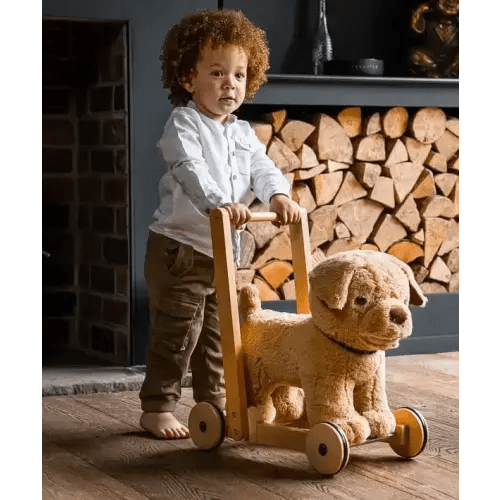 Dexter Dog Baby Walker