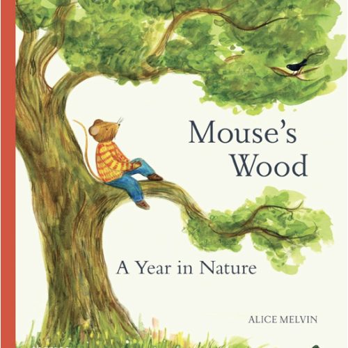 Mouse's Wood: A Year in Nature (Mouse’s Adventures)