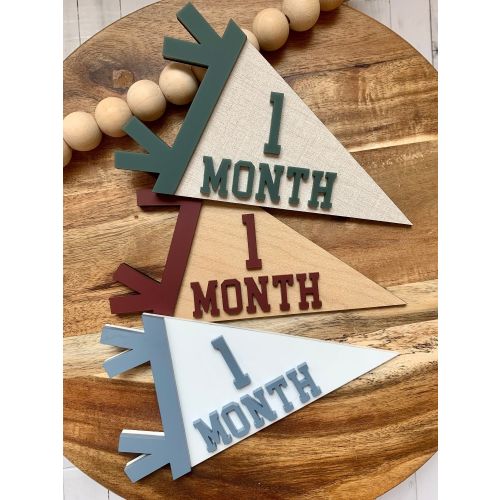 Personalized Baby Monthly Milestone Pennant: Newborn Photo Prop
