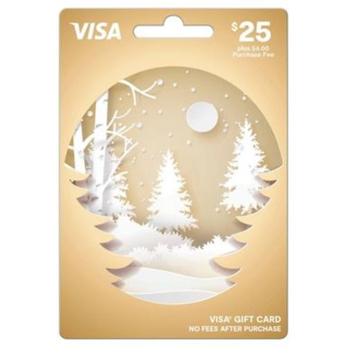 Visa Holiday $25 + $4 Fee Gift Card