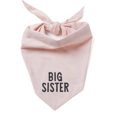THE PAWS My Big Sister Dog & Cat Bandana, Pink, Large - Chewy.com