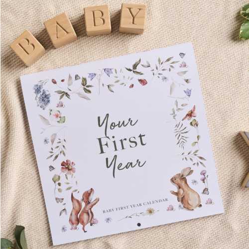 Baby's First Year Calendar (UK)