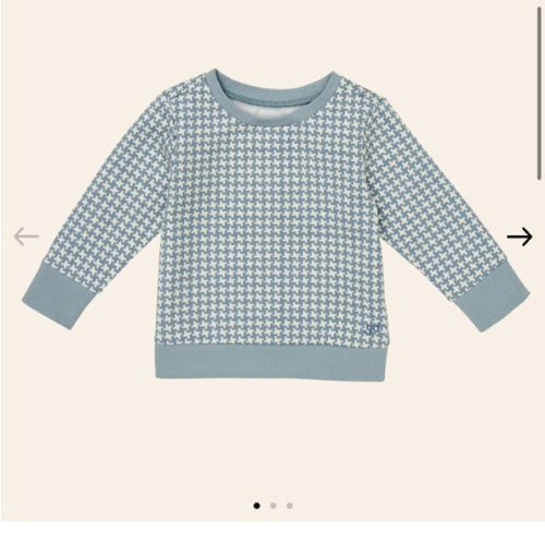 Springfield Sweatshirt - Young Days
