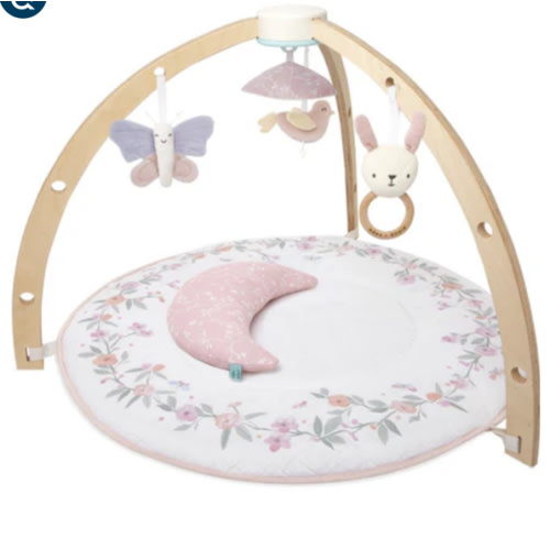 Baby Gym | Premium Baby Activity Gym | aden + anais