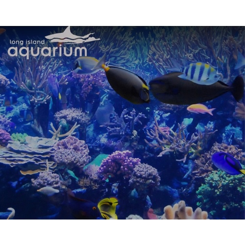 LI Aquarium Membership Fund
