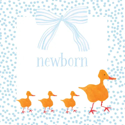 Baby Boy Milestone Cards