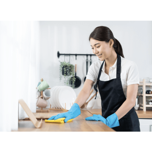Postpartum House Cleaning Service