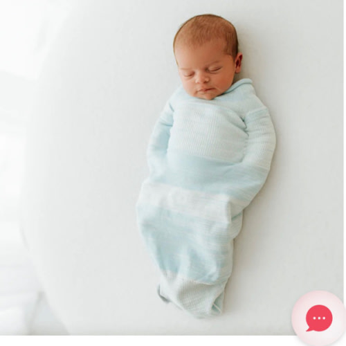 Blue Swaddle Sleep Sack – Swaddelini