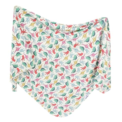 Copper Pearl Baby Swaddle Blanket - Premium Knit Baby Blanket, Large Soft Stretchy Receiving Blankets for Baby Boy and Girl, Swaddles for Newborn, Infant, and Toddler (Dinosaurs of Jurassic Park)