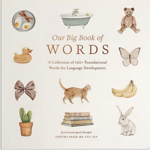 Our Big Book of First Words: A Collection of 100+ Foundational Words for Language Development (Tabitha Paige Children's Book Series)