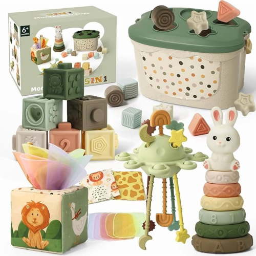 Montessori Toys for Babies 6-12 Months, Shape Sorter Toys, Baby Blocks, Tissu Toys Gift for 6-36 Months Girls Boys