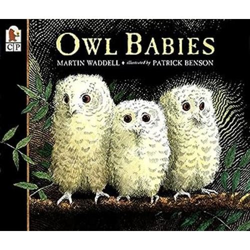 Owl Babies