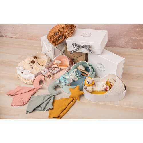 Luxe Gift Sets – Premium Baby Shower & Milestone Gifts