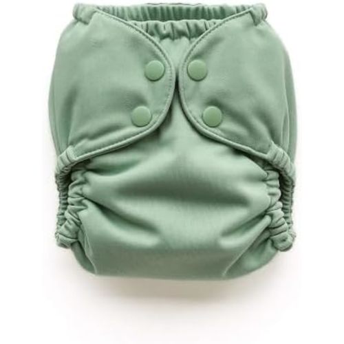 Esembly Cloth Diaper Cover, Willow, Size 2 (18-35lbs)