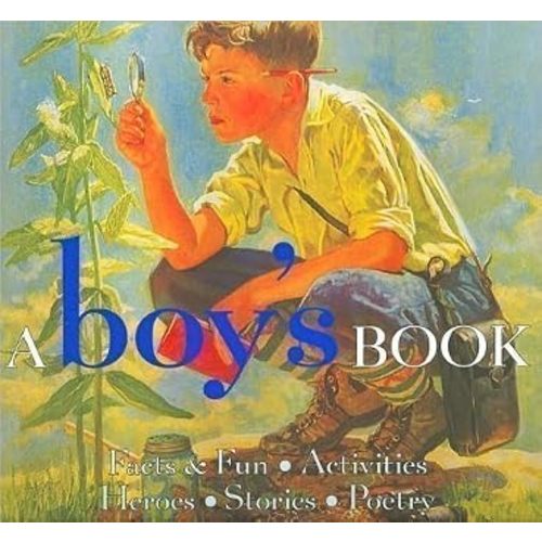 A Boy's Book (Gift Books)