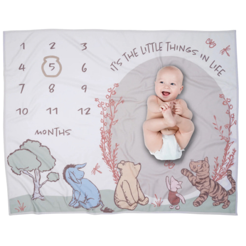 Pooh Bear & Pals Milestone Baby Blanket