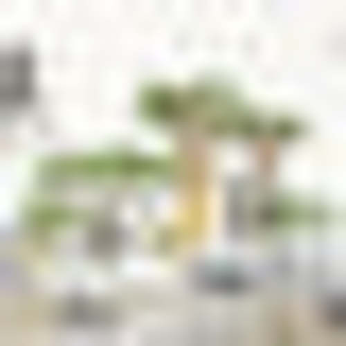 Animal Friends – Pici's House