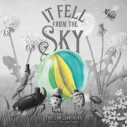 It Fell from the Sky