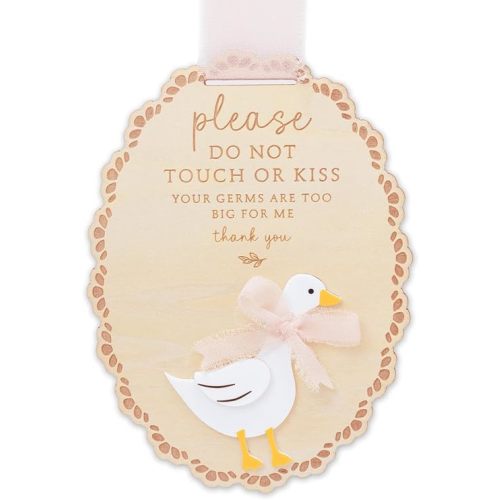 Please Do Not Touch or Kiss Baby Sign, Please Do Not Touch Baby Wooden Sign (Goose Pink)