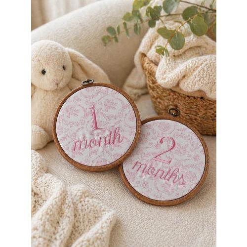 First Year Milestone Hoops | Embroidered Baby Milestone Hoops | Girl Monthly Signs | Baby Milestone | Pink Floral