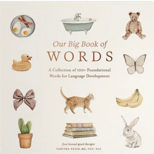 Our Big Book of First Words: A Collection of 100+ Foundational Words for Language Development (Tabitha Paige Children's Book Series)