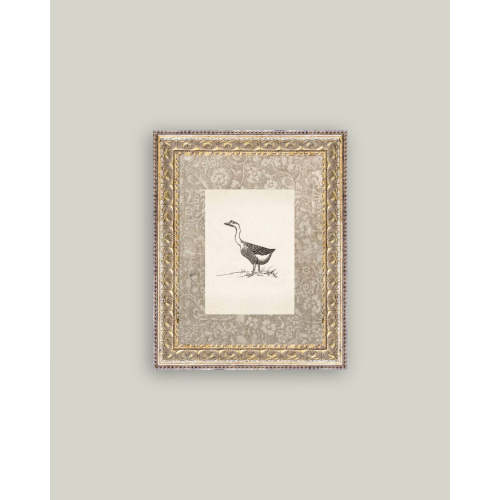 Single Goose