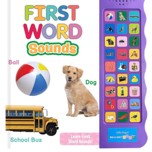 Little Hippo Books Listen and Learn First Words Book | Preschool Educational Sound Books for Kids | Brilliant Baby Educational Books & Kids Books | ... (Brilliant Baby® Early Learning Collection)