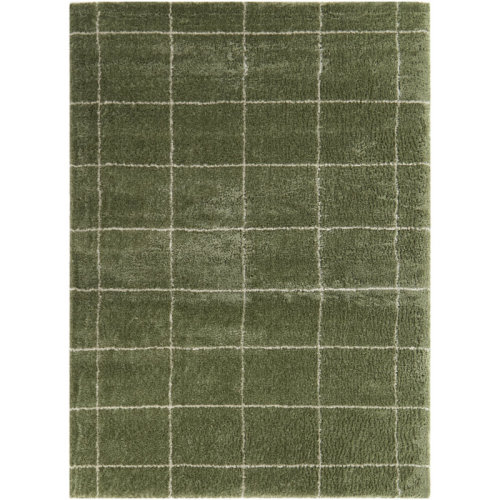 Ebern Designs Rectangle Jewelee Checkered Machine Woven Recycled P.E.T. Area Rug in Green & Reviews | Wayfair