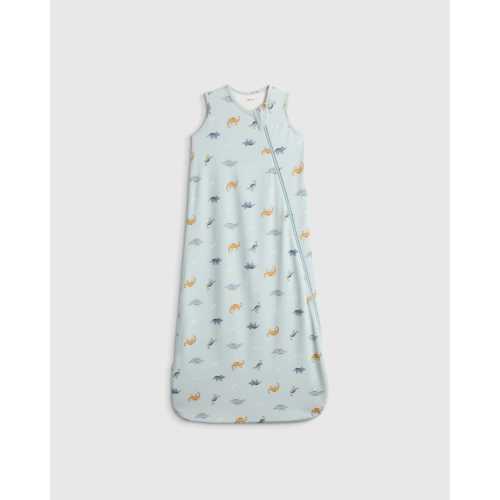 Bamboo Sleep Bag 1.0 TOG in Baby Blue Little Dino