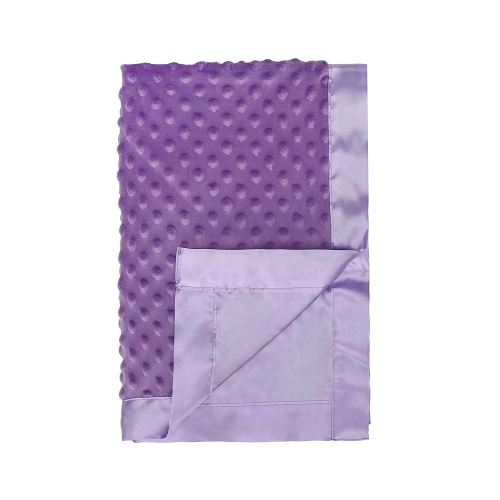 Pro Goleem- Baby Soft Minky Dot Blanket with Silky Satin Backing (Purple, 30’’ x 40’’)